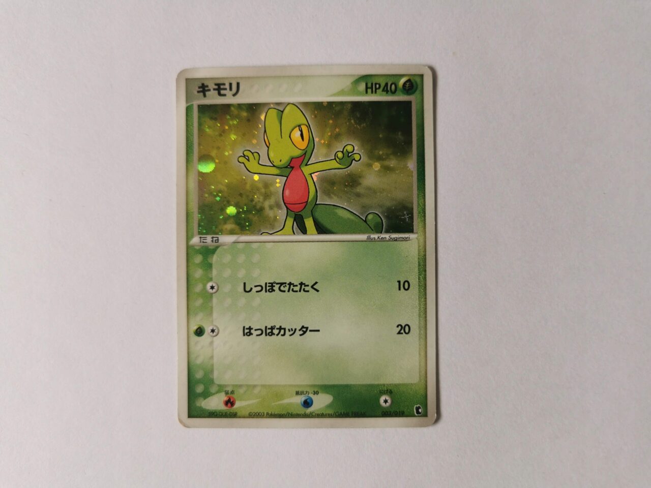 Treecko - 2003 - 003/019 - Japońska